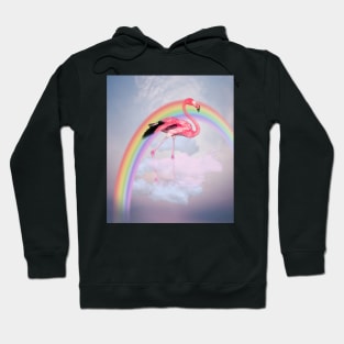 Flamingo walking on the clouds Hoodie